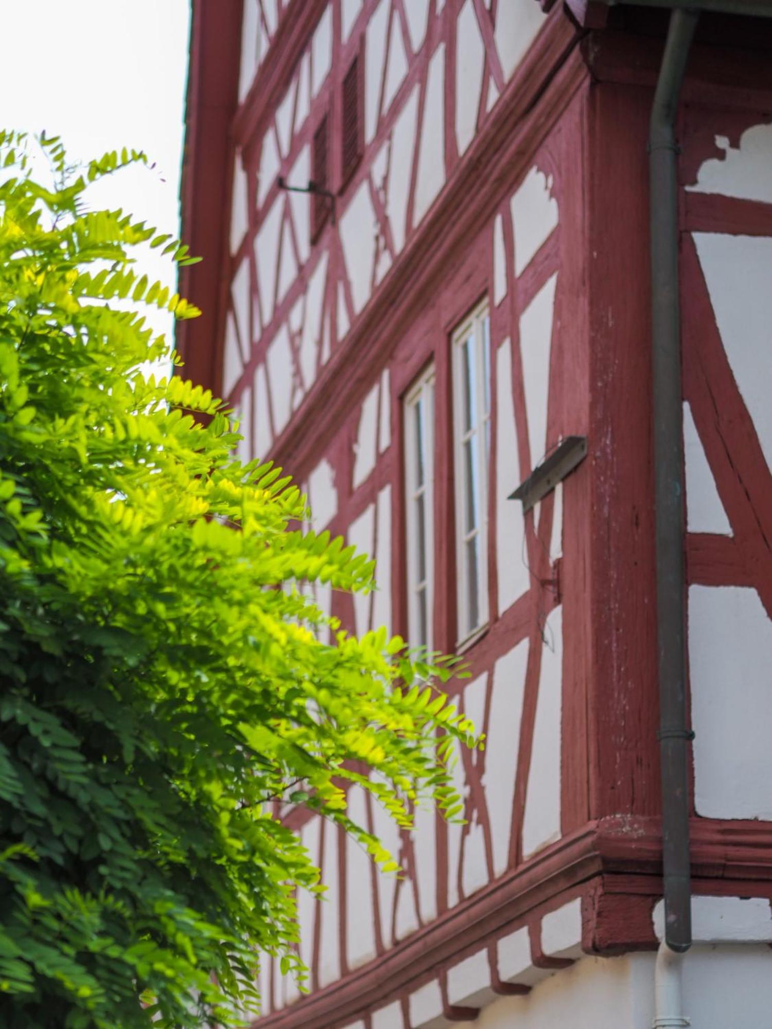 Weinstrasse No 8 "Einfach-Gut-Uebernachten" Leinsweiler Bagian luar foto